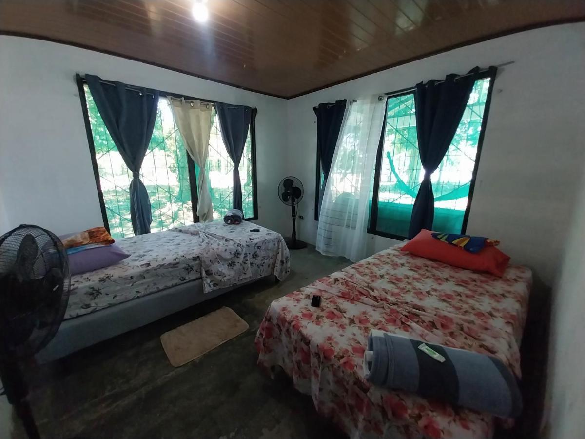 Happy Monkeys Villa Puerto Jimenez Exterior photo