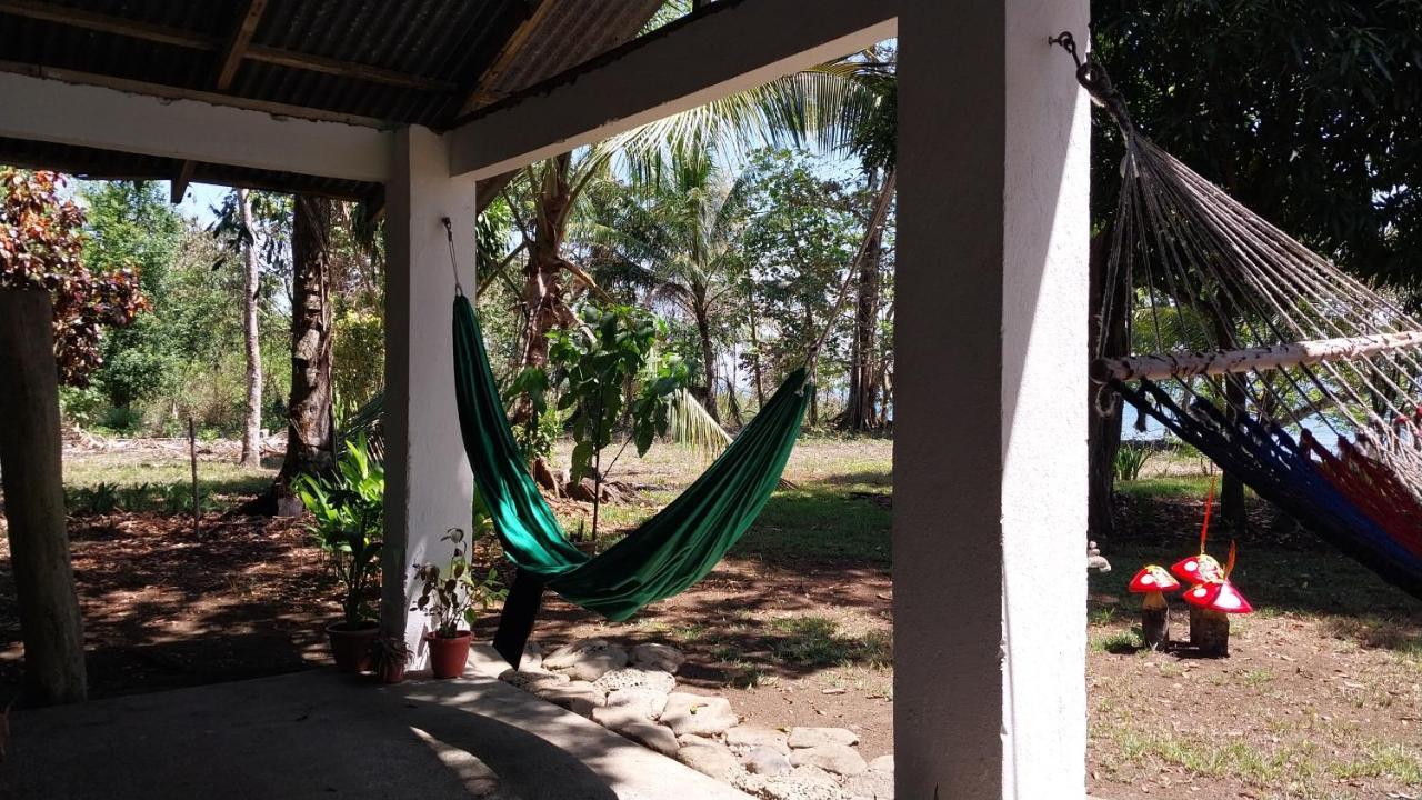 Happy Monkeys Villa Puerto Jimenez Exterior photo